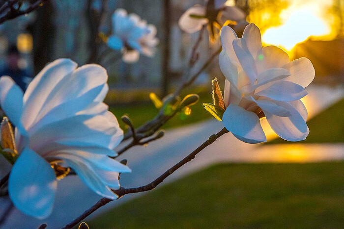 Великдень 2026 року: точна дата святкування та чому католики й православні відзначатимуть його в різні дні